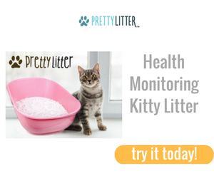 Pretty Litter