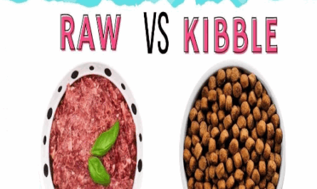 unleashing the ultimate guide to raw food vs kibble