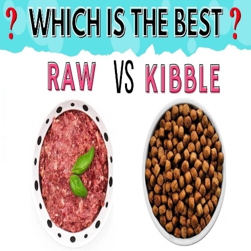 unleashing the ultimate guide to raw food vs kibble