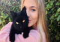 stop stereotyping cats