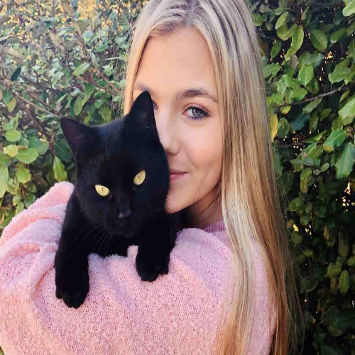 stop stereotyping cats