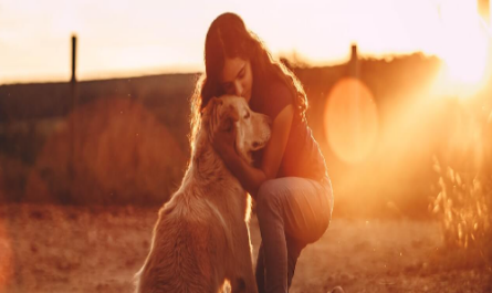unleashing the power of emotional support animals