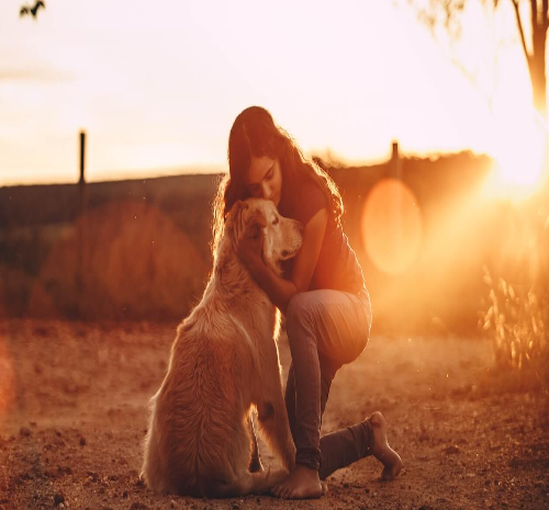 Emotional Support Animals