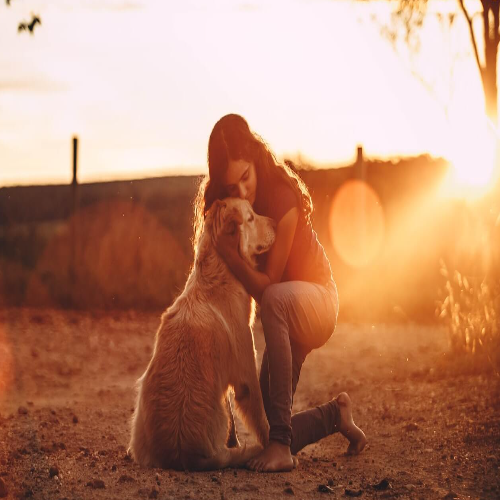 unleashing the power of emotional support animals