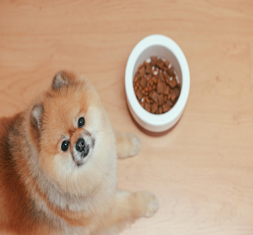 Optimal Nutrition