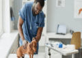 unleashing the power of routine vet visits