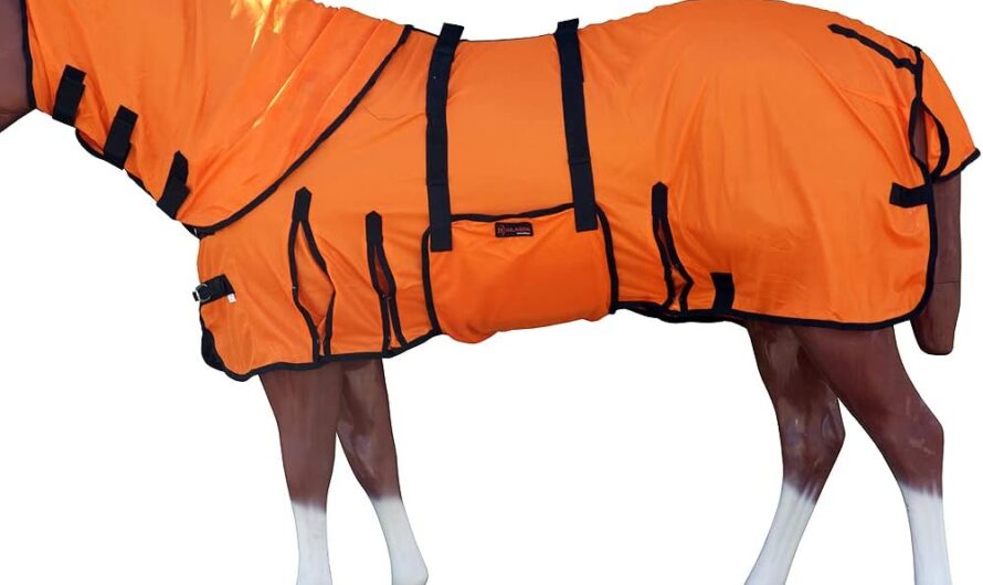 Shielding Your Equine Companion: The Ultimate Guide to HILASON Horse Fly Sheets