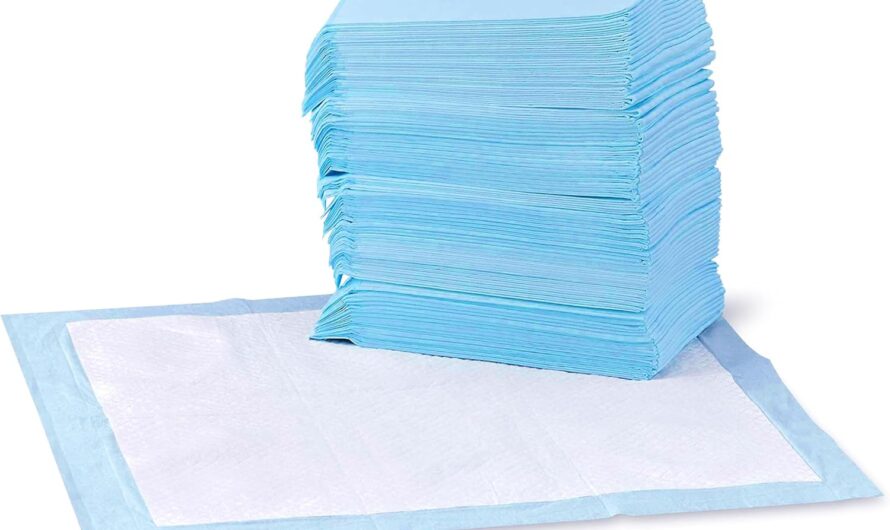 Potty Training Made Easy: A Deep Dive into the Best Dog and Puppy Pee Pads