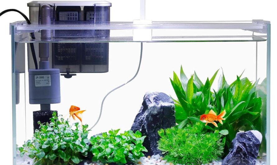 Transform Your Space: The Magic of the Vimvins 3 Gallon Glass Small Fish Tank