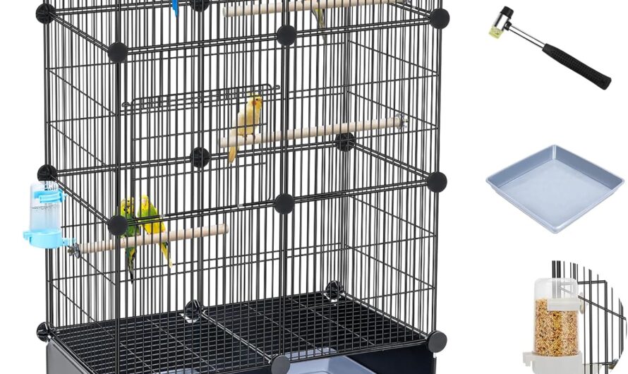Elevate Your Bird’s Home: The Ultimate Guide to Choosing the Best Bird Cage
