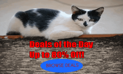 Deals of the Day
