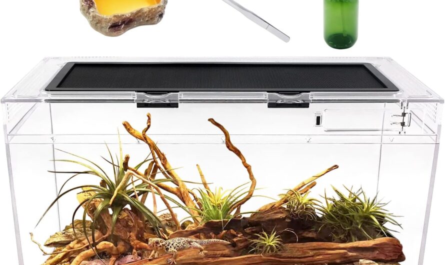Unleash the Wild: Transform Your Home with the Reptile Growth 10 Gallon Terrarium