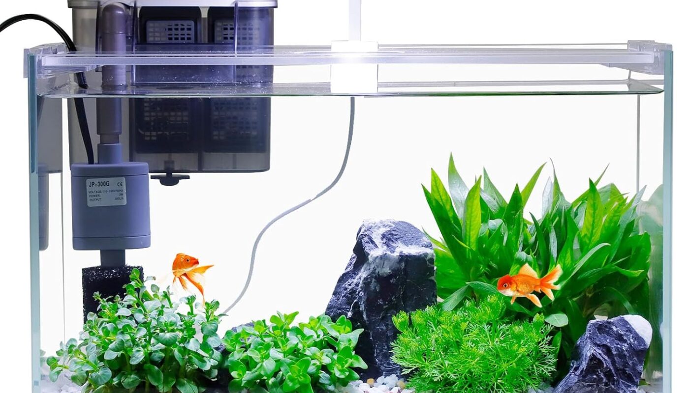 vimvins small fish tank